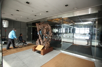 Medium_ibftc141108-0060s