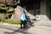 Medium_ibftc141108-0058s