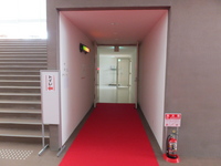 Medium_dscf5731