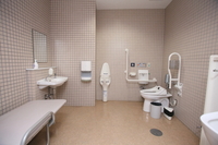 Medium_dpp_0209-0017s