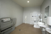 Medium_dpp_0209-0051s