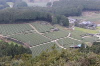 Medium_img_0230