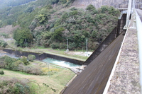 Medium_img_0259