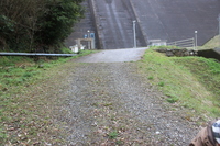 Medium_img_0251
