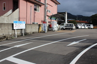 Medium_img_0308