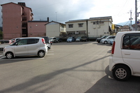 Medium_img_0311
