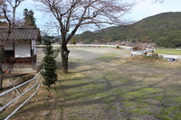 Medium_img_0639
