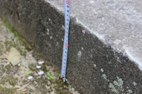 Medium_img_0602