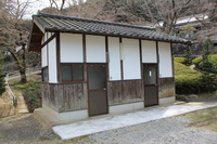 Medium_img_0651