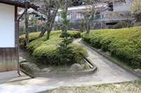 Medium_img_0650