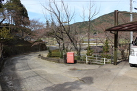 Medium_img_0599