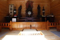 Medium_img_0610
