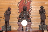 Medium_img_0612