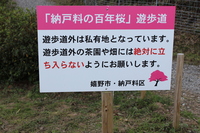 Medium_img_0684