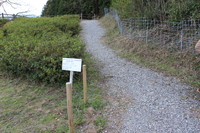 Medium_img_0687