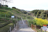 Medium_img_0699