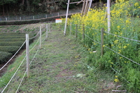 Medium_img_0707