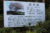 Medium_img_0713