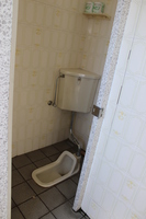 Medium_img_0781