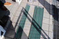 Medium_img_0794