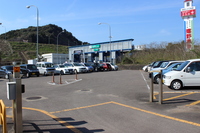 Medium_img_0764