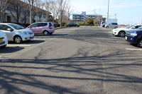 Medium_img_0821