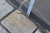 Medium_img_0737