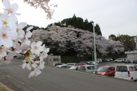 Medium_img_0968
