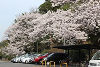 Medium_img_0978