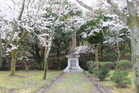 Medium_img_0982