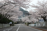 Medium_img_0965