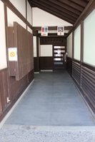 Medium_img_2062