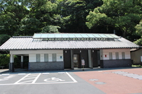 Medium_img_2002