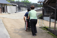 Medium_img_2620