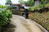 Medium_img_2702