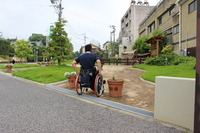 Medium_img_3267