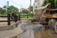 Medium_img_3271