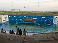 Thumb_img_4335
