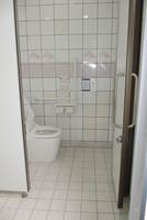 Medium_img_9033