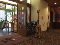 Medium_img_4763