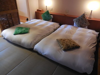 Medium_dscn0979