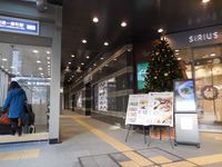 Medium_yagi090_r