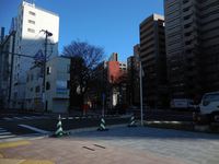 Medium_yagi099_r