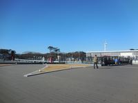 Medium_yagi003_r