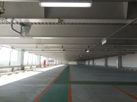 Medium_yagi019_r
