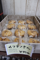 Medium_img_9694