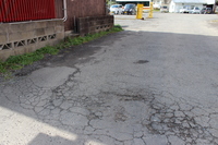 Medium_img_9908