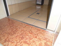Medium_cimg8631