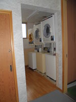 Medium_cimg8981