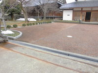Medium_cimg8896